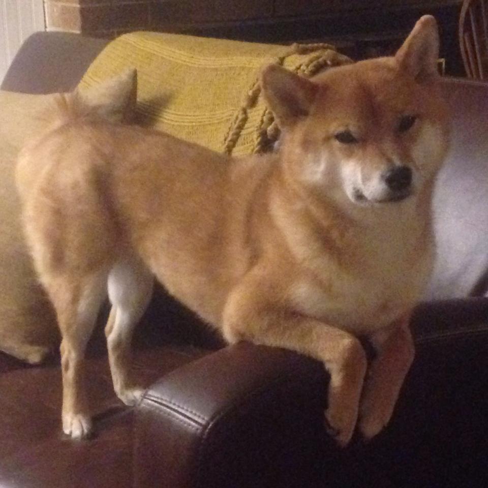 华体会下载-足球的沉默法则，当英超争冠遇上加纳爆冷的哲学启示  第2张