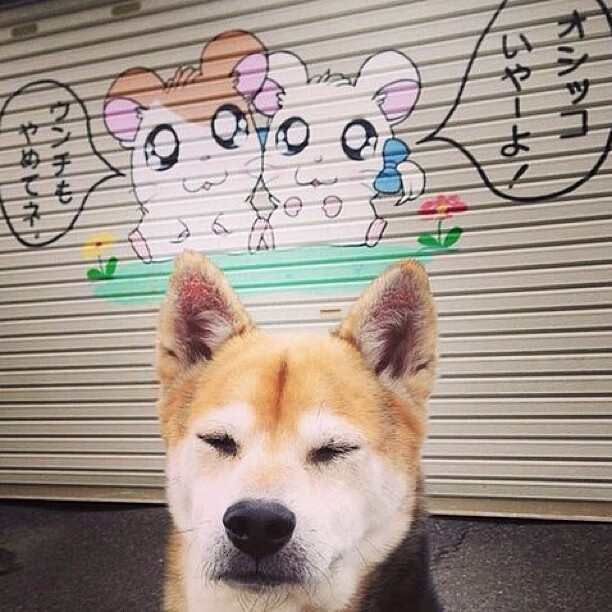 华体会登录-草根逆袭！布伦森37+9鹈鹕掀翻东部霸主热火  第2张