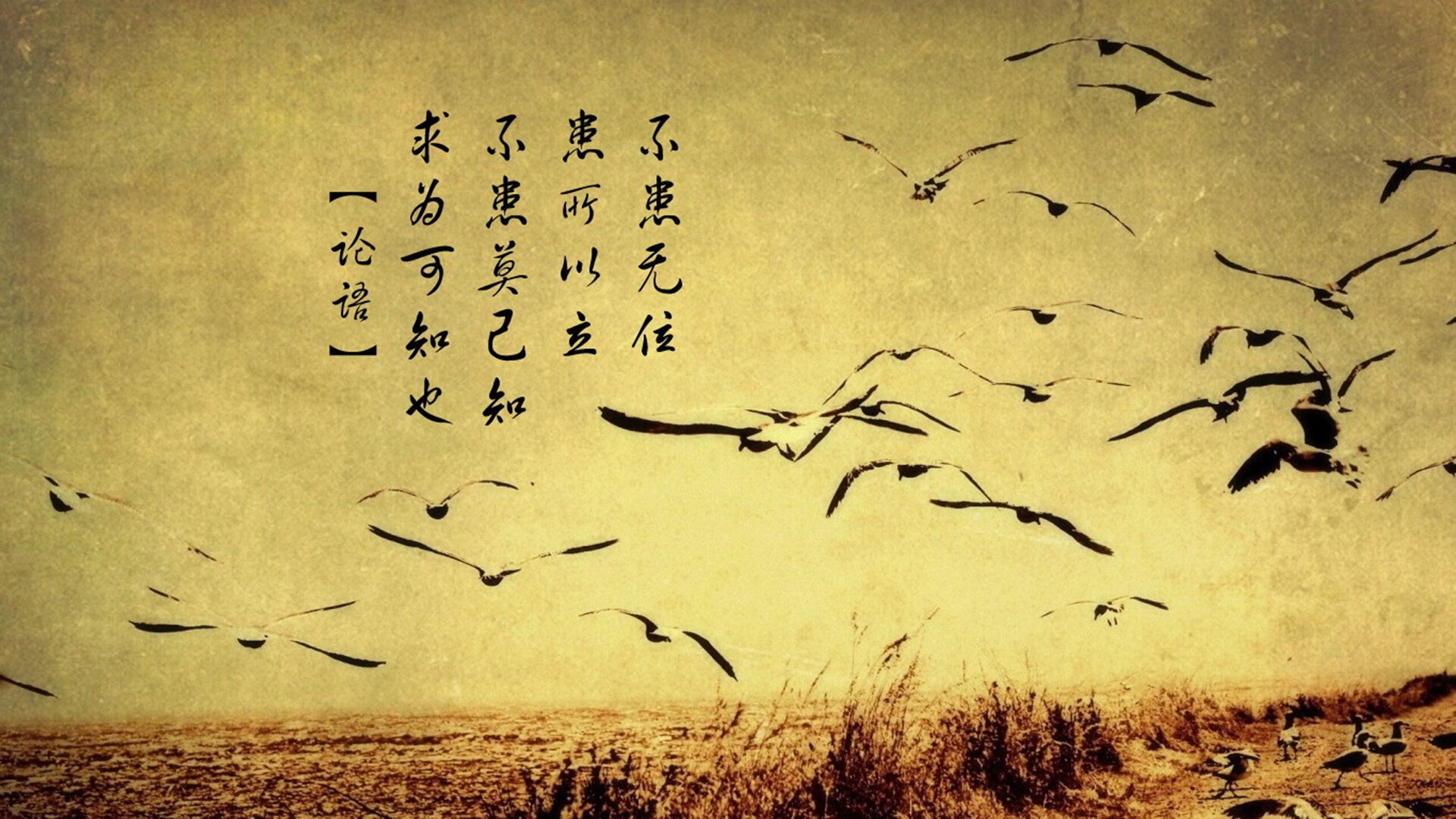 华体会网址-生死战中的唯一答案，波兰横扫克罗地亚，罗德里戈用统治力书写关键战之魂  第2张