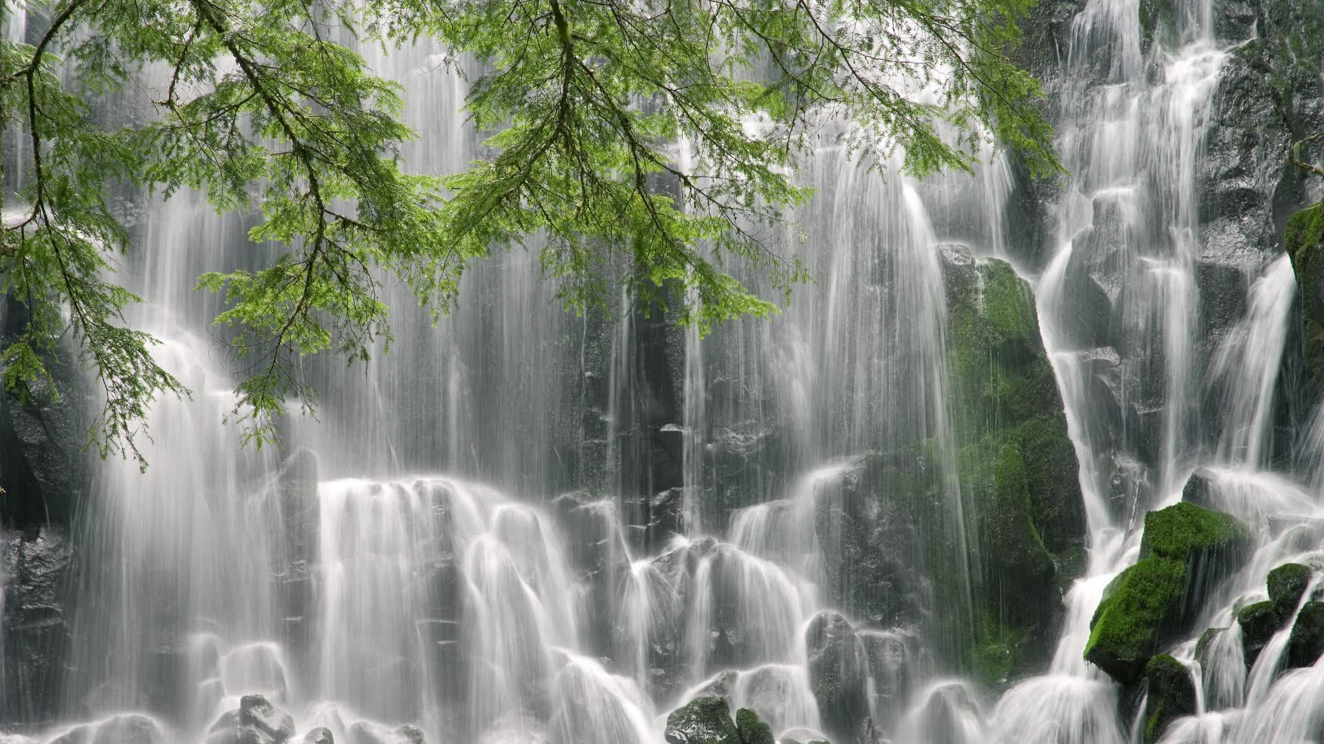 华体会登录-北欧铁骑的黄昏，2026世界杯C组，拉什福德用速度撕裂瑞典的冰墙，波兰在绝境中写就唯一剧本  第1张
